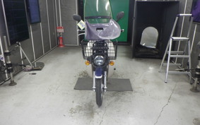 HONDA C110 SUPER CUB 2019 JA42