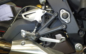 TRIUMPH DAYTONA 675 R
