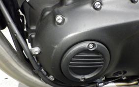 TRIUMPH BONNEVILLE T100 2023
