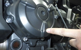 YAMAHA MT-07 2022 RM33J