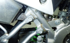 KAWASAKI KLX125 2023 LX125C