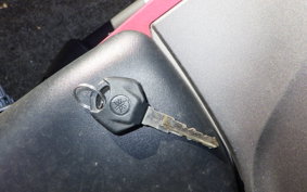 YAMAHA YZF-R25 RG43J