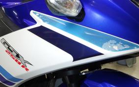 SUZUKI GSX250 R 2022