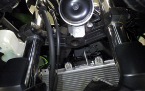 KAWASAKI NINJA 250 2024 EX250Y