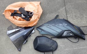 KAWASAKI ZX-4R SE 2024 ZX400P