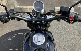 SUZUKI BANDIT250-1 GJ74A