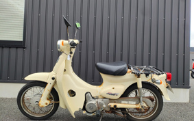 HONDA LITTLE CUB C50