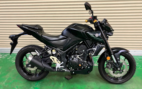 YAMAHA MT-25 RG74J