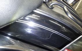 OTHER +HD. XL1200T 2015