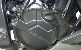 KAWASAKI Z250 2023 ER250C