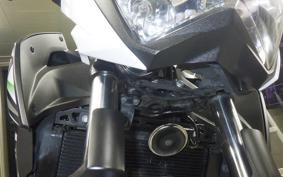 KAWASAKI Z250 2008 ER250C