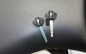 SUZUKI HAYABUSA Gen.2 2009