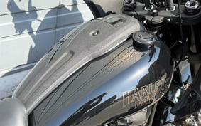 HARLEY  HARLEY FXLRST 2023 YXZ