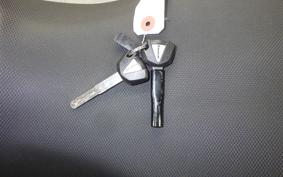 KAWASAKI NINJA 250 2023 EX250Y