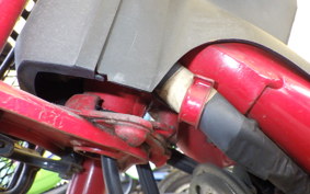 HONDA ROAD FOX TB10