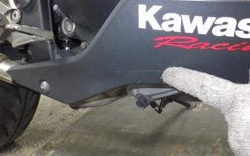 KAWASAKI Z250 2021 ER250C