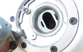 KAWASAKI NINJA 250 SL