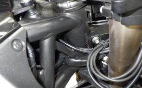 KAWASAKI NINJA H2 SX SE 2019 ZXT02A