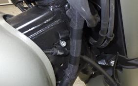 OTHER +ENFIELD CLASSIC350 2023