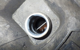 YAMAHA MAXAM 250 SG17J