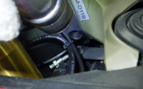 DUCATI 1299 PANIGALE S 2015