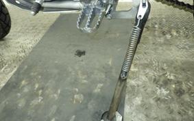 YAMAHA WR250R 2023 DG15J