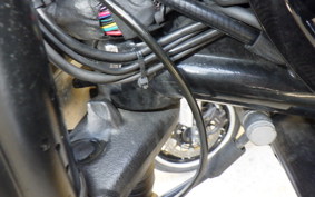 TRIUMPH BONNEVILLE T100 2020