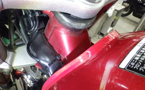 HONDA MONKEY 125 ABS 2025 JB02