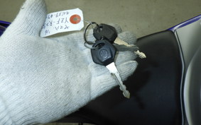 YAMAHA YZF-R25