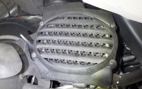 HONDA CREA SCOOPY 2017 AF55