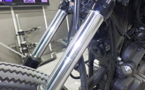 YAMAHA VIRAGO 250 2025 3DM