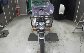 HONDA C110 SUPER CUB 2010 JA07