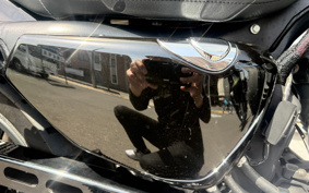 HARLEY XL1200CX 2017 LM3