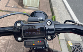 HARLEY FXBB 2019 YJJ