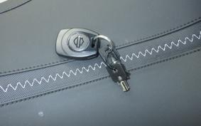 HARLEY FLTRX1920 2025