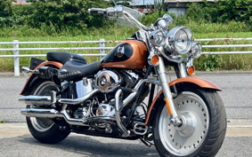 HARLEY FLSTF 105th 2007 BX5