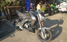 KAWASAKI Z125 PRO BR125H