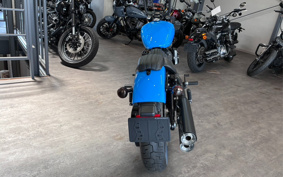 HARLEY FXBBS 2022 YYK