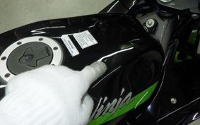 KAWASAKI NINJA150RR 2019