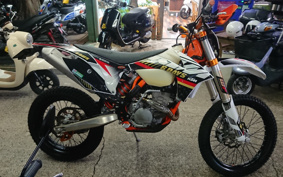KTM 250 EXC F SIXDAYS EXA40