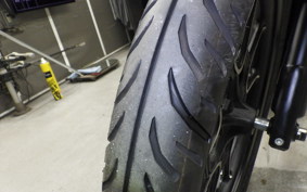 OTHER +ENFIELD ﾒﾃｵ350 2022