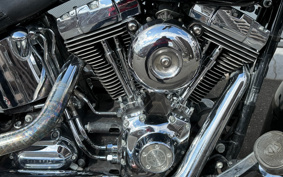 HARLEY FLSTC 2014 BW5