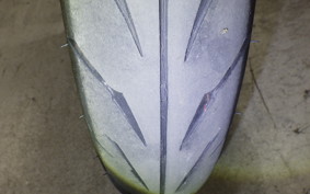 YAMAHA YZF-R25 A 2024 RG43J