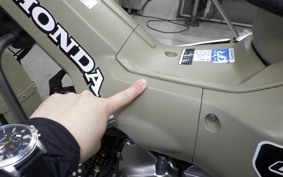 HONDA CT125 HUNTER CUB 2022 JA55
