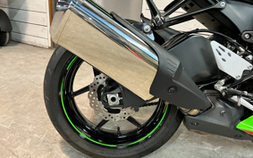 KAWASAKI NINJA ZX-6R 2020 ZX636G