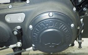 HARLEY XL883N 2017