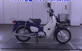 OTHER C110PU LOW 3