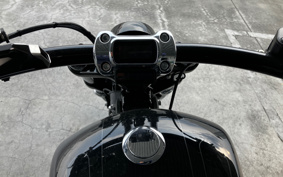 HARLEY  HARLEY FXBRS 2021 YHK