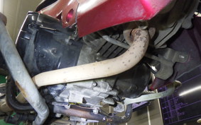 HONDA WAVE 125 I 2018