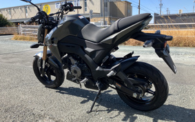 KAWASAKI Z125 PRO BR125H